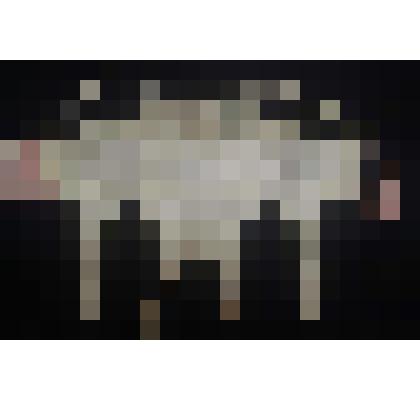 Полуграция