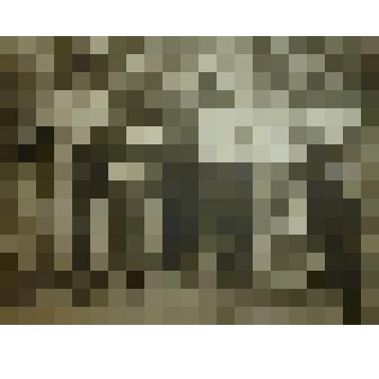 Фотография. А.П.Аверкин с друзьями