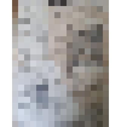 Газета "Садовод- виноградарь Кубани" № 13 (62) от 28 марта 1959 г