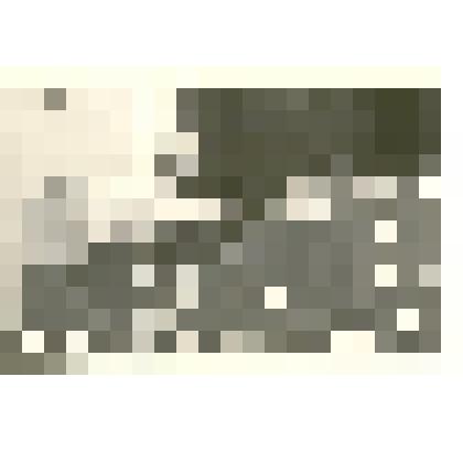 Фотография: районное совещание колхозников. За трибуной директор лесхоза Савинов