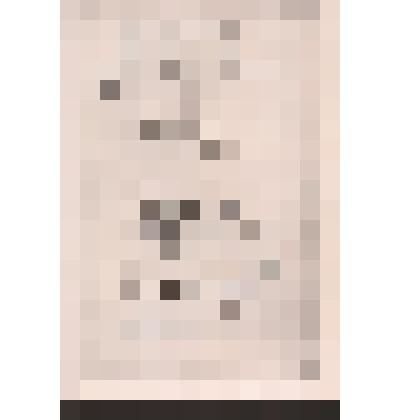 Фотокопия  с автографа стихотворений "Гляжу на будущность с боязнью..." и "Пускай слыву я старовером..."