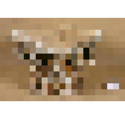 Капитель колонны из местного яруса иконостаса