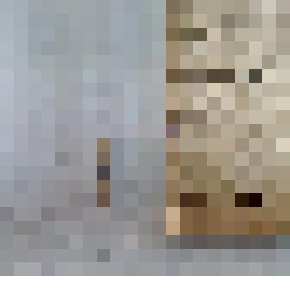 Игла морского ежа