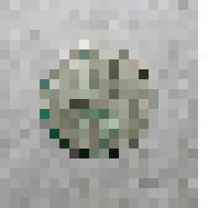 Монета советская достоинством 10 коп