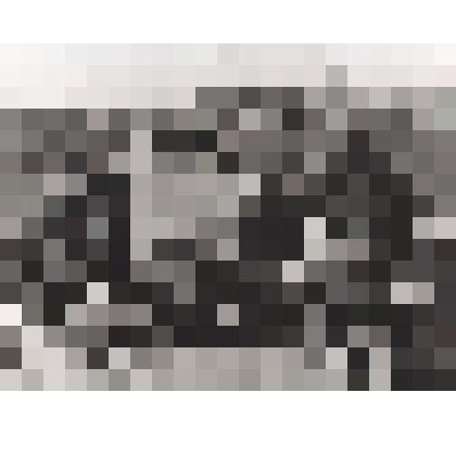 Фотография. Немецкие сапёры