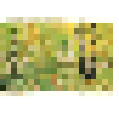 Этюд. За станцией Мошнино