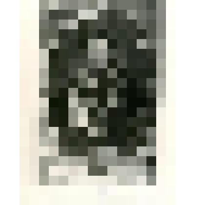 Фотокопия. Гмелин Иоганн Георг-исследователь природы Якутии в ХVIII в