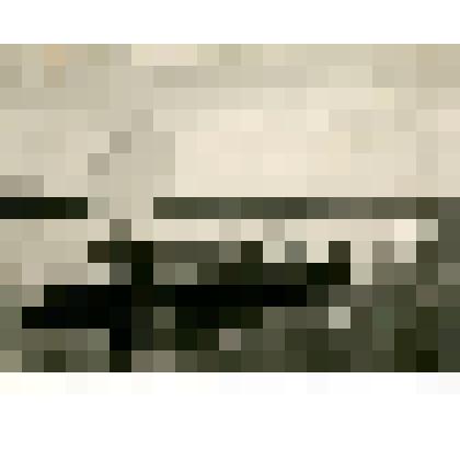 Фотография. Лесная экспедиция Божукова на реке