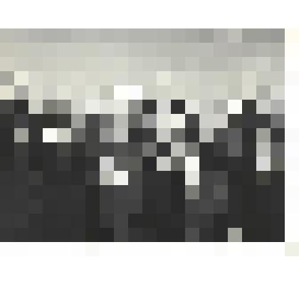 Фотографии. Фото ч/б. Участники боев на Малой Земле, в центре А.М. Абрамов - командир 83-й морской бригады, 1973 г