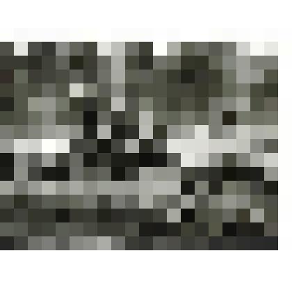 Фотография сюжетная. Железная дорога Тюмень-Сургут. Поездка на дрезине