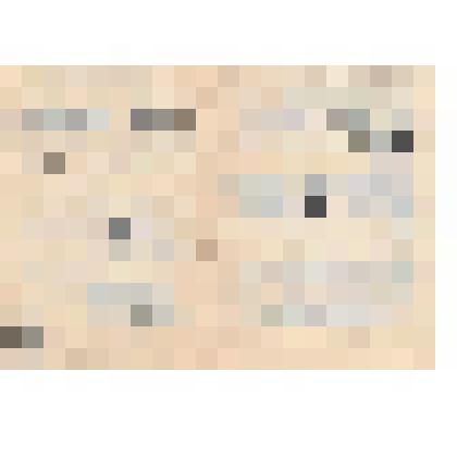 Документ. Программа к спектаклю "Светит, да не греет" по пьесе А.Н.Островского Кинешемского драматического театра имени А.Н.Островского.   Из коллекции материалов по истории Кинешемского драматического театра им. А.Н. Островского (1920-е гг. -1990-е гг.)