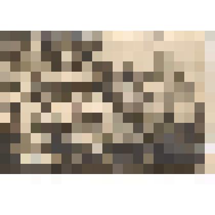 Фотография ч/б "Мальчики в Нижнем саду п. Суксун"