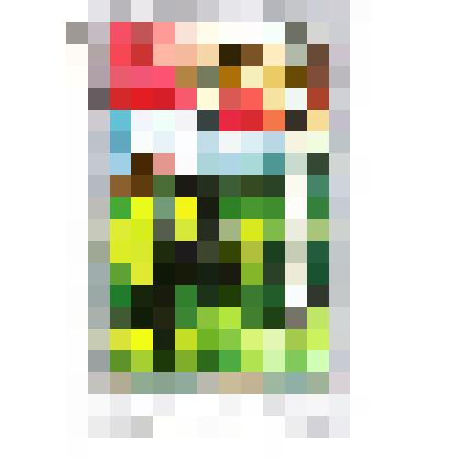 Марка почтовая. Монгол Шуудан. 20 менге. 1975 год Охотник, рысь, собаки