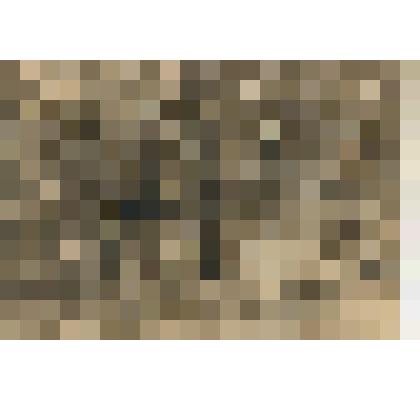 Открытка.  Могила Л. Н. Толстого.Репродукция с фотографии В.Г.Черткова. 1911г