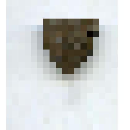 Значок "Мир Ленин"