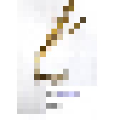 Гербарий
Лук стареющий или мангыр