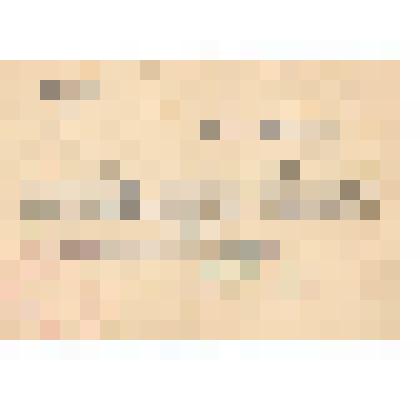 Документ. Справка об объявлении благодарности за отличные боевые действия при прорыве обороны противника и освобождении города Яссы. Выдана гв. рядовому Калмыкову Михаилу Семёновичу