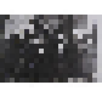 Фотография  черно-белая. Делегаты Всероссийского съезда учителей