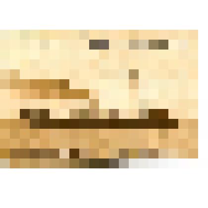 Открытка иллюстрированная "Пароход "Принцесса Ольденбургская" Русского общества пароходства и торговли