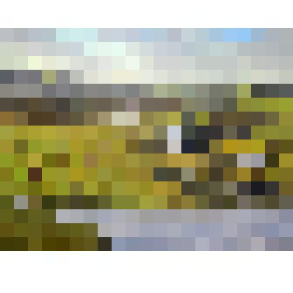 Мельников П.Д. Картина "На лугу"