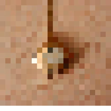 Часы -медальон «Чайка» на цепочке