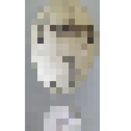 Крачка речная. Крачки. Из коллекции птичьих яиц