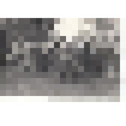 Ф/чб. Начальник ЭВЗРКУ г-л/м-р Солдатов В.Т. с делегацией на демонстрации у площади. Энгельс. Кон. 1970-х