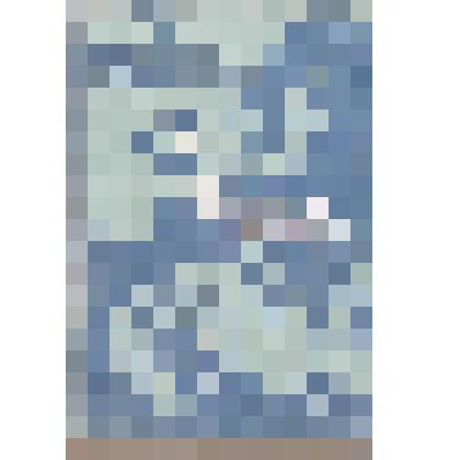 Книга. Европа - слева!