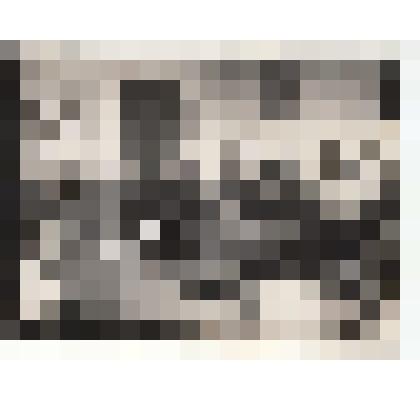 Ф/чб. Офицеры 148-й Стрелковой дивизии на командирских занятиях. Украина. Май 1944