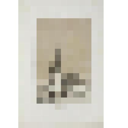 Литография. "Казань. Благовещенский собор."