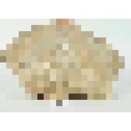 Кирпич формованный фигурный. Фрагмент