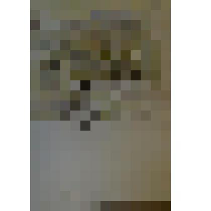 «Весна в Махачкале». Этюд