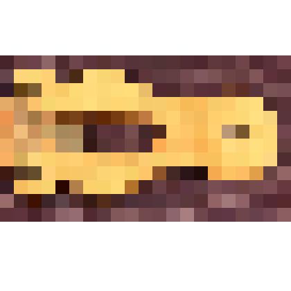 Точилка для карандашей Космолинской Анны Федоровны, из коллекции материалов о семье Космолинской Анны Федоровны (1898-2002), старейшей жительниы г. Саратова