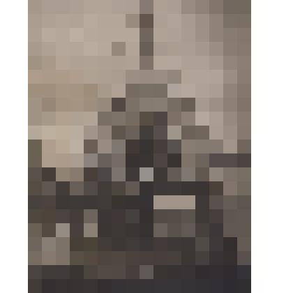 Фото На палубе боевого корабля команда эсминца "Грозный". Н.П.Ложкин - рулевой экипажа