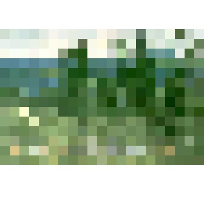 Лето в Саянах