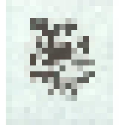 Экслибрис «Из книг Двойнишникова»