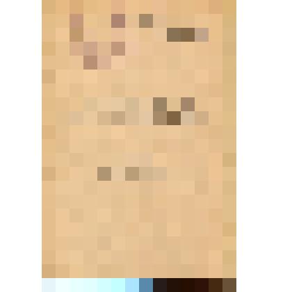 Автореферат диссертации на соискание учёной степени кандидата исторических наук И.В. Елизарова. Деятельность партийных организаций по обеспечению бесперебойной работы железнодорожного транспорта Западной Сибири в годы ВОВ 1941 – 1945. С авторской подписью