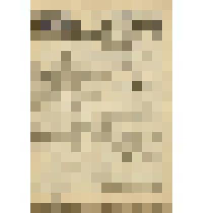 Газета. "Звезда" № 153