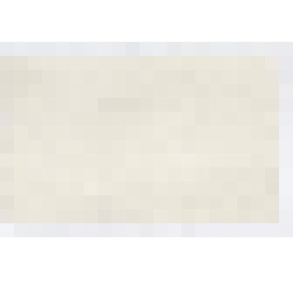 Конверт, в котором находились записки, поданные В.В. Маяковскому во время выступления в Твери