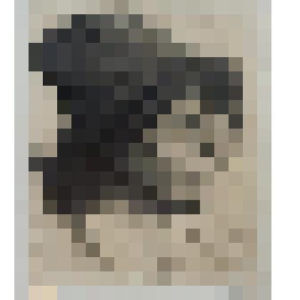 Женская голова