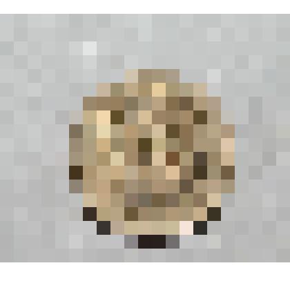 Монета. 2 копейки