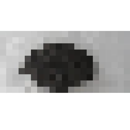 Окаменелость