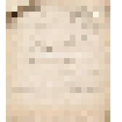 Телеграмма № 6530 г. Чердынь В.Н.Алину от Черемисинова из г. Перми, 20.09.1906