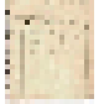 Счет №331за кладовую господину Алину от Кокоревской Биржевой Артели. Москва, 22 января 1897 г