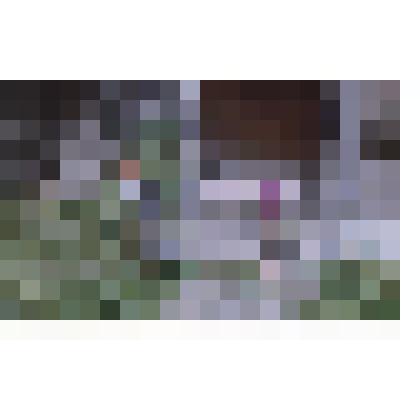 Фотография. Жительницы деревни Богданово Сосновского района