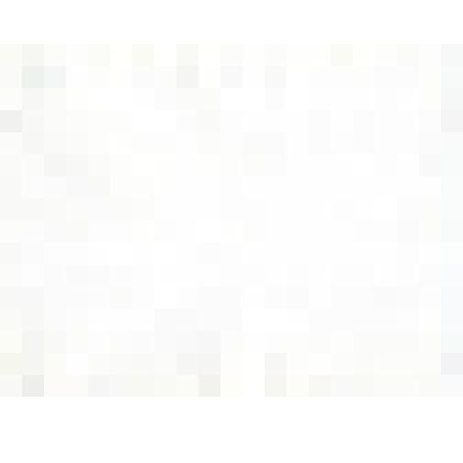 Фотография. Пионерский лагерь "Энергетик" Киришской ГРЭС-19