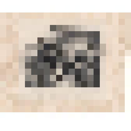 Литография "Qu'est Le Fleau de L'Armée ?" Из серии на тему ветеранов наполеоновских войн