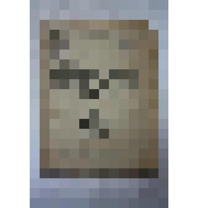 Брошюра. Профессионально-техническое образование пролетариата и союзы. Государственное издательство