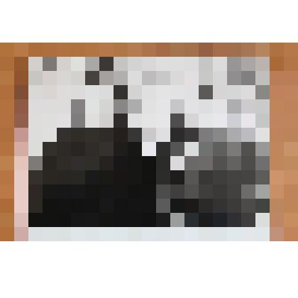 Фотография. Сальников А.Л. с председателем колхоза Башкирии