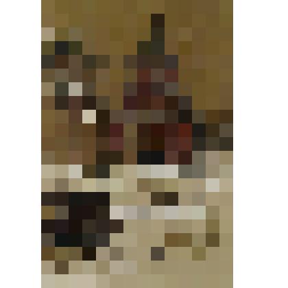 Измайлово. Мостовая башня